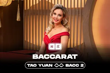 8mbets live casino image